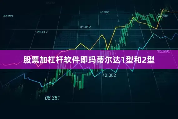 股票加杠杆软件即玛蒂尔达1型和2型